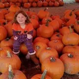 Johansen Farms Children's Zoo, Pumpkin Patch & Fall Festival photo
