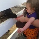 Johansen Farms Children's Zoo, Pumpkin Patch & Fall Festival photo