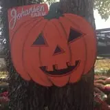 Johansen Farms Children's Zoo, Pumpkin Patch & Fall Festival photo