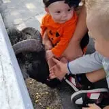 Johansen Farms Children's Zoo, Pumpkin Patch & Fall Festival photo