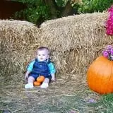Johansen Farms Children's Zoo, Pumpkin Patch & Fall Festival photo