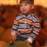 Johansen Farms Children's Zoo, Pumpkin Patch & Fall Festival photo