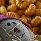Johansen Farms Children's Zoo, Pumpkin Patch & Fall Festival photo