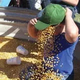 Hildebrand Farms Dairy Harvest Festival photo