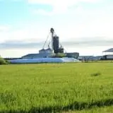 Hildebrand Farms Dairy Harvest Festival photo