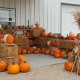 Hildebrand Farms Dairy Harvest Festival photo
