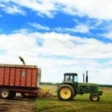 Hildebrand Farms Dairy Harvest Festival photo