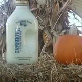 Hildebrand Farms Dairy Harvest Festival photo