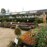 J & J Nursery photo