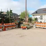 J & J Nursery photo