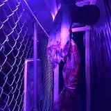 RC Haunted Asylum photo