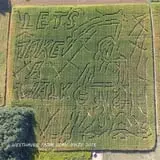 West Haven Farms Fall Fun photo