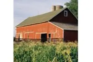West Haven Farms Fall Fun