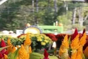 Fun on the Farm at Hanover Vegetable Farm