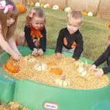 Jahn's Pumpkin Hill photo