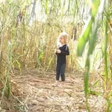 Jahn's Pumpkin Hill photo