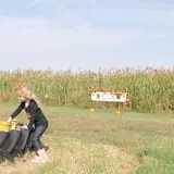 Jahn's Pumpkin Hill photo