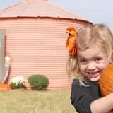 Jahn's Pumpkin Hill photo