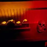 Spirited Escapes - Haunted Mansion