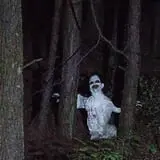 Creepy Trail of Willow Creek photo