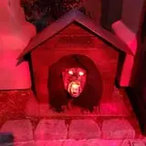 San Clemente Haunted House photo