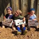 Lane Southern Orchards photo