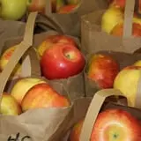 Lane Southern Orchards photo