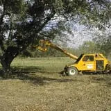 Lane Southern Orchards photo