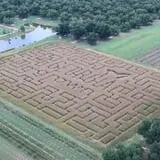 Lane Southern Orchards photo