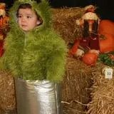 Lane Southern Orchards photo