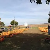 Negangard Pumpkin Patch photo