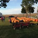 Negangard Pumpkin Patch photo