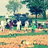 Negangard Pumpkin Patch photo