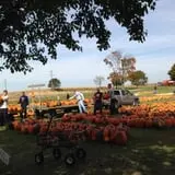 Negangard Pumpkin Patch photo