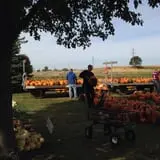 Negangard Pumpkin Patch photo
