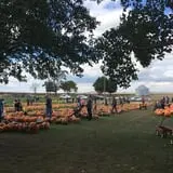 Negangard Pumpkin Patch photo