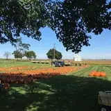 Negangard Pumpkin Patch photo