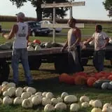Negangard Pumpkin Patch photo