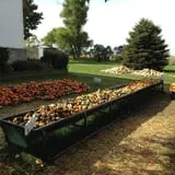Negangard Pumpkin Patch photo