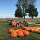 Negangard Pumpkin Patch photo
