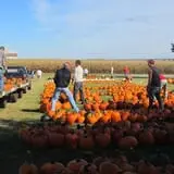 Negangard Pumpkin Patch photo