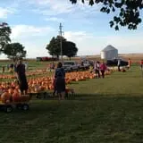 Negangard Pumpkin Patch photo
