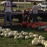 Negangard Pumpkin Patch photo