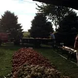 Negangard Pumpkin Patch photo