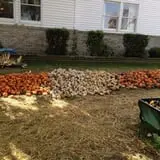 Negangard Pumpkin Patch photo