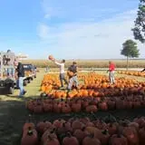 Negangard Pumpkin Patch photo
