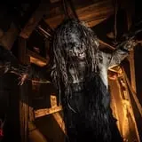 Woods of Terror photo