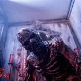 Woods of Terror photo