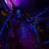 Woods of Terror photo