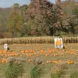 Heritage Farms Market photo
